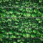 bedruckter Sichtschutzzaun